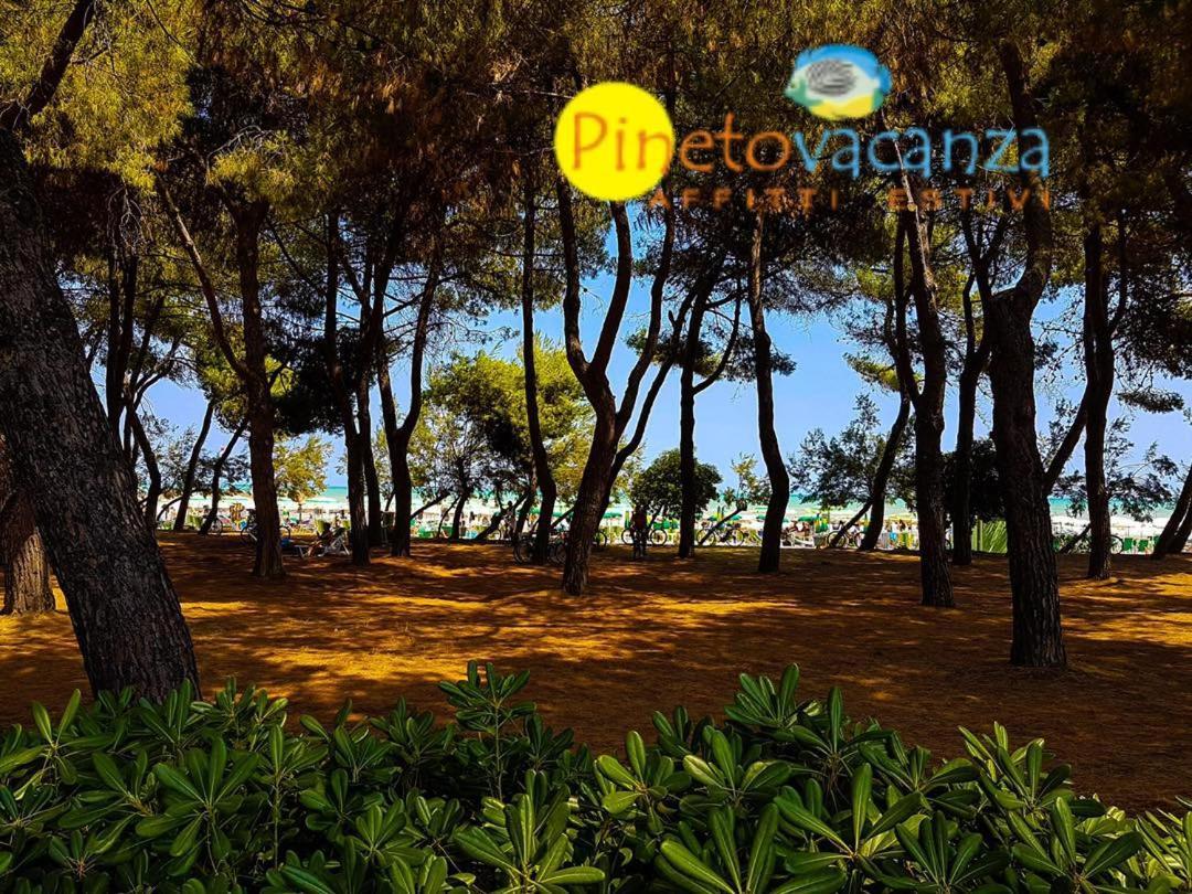 Myconos C2 - Pineto Vacanza 외부 사진